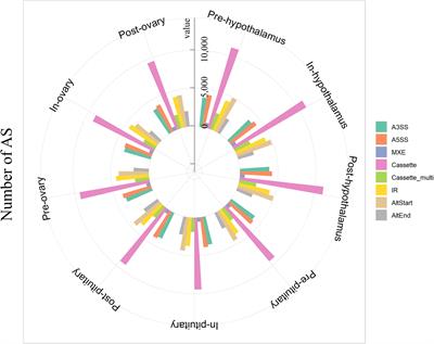 Alternative Splicing Dynamics of the Hypothalamus–Pituitary–Ovary Axis During Pubertal Transition in Gilts